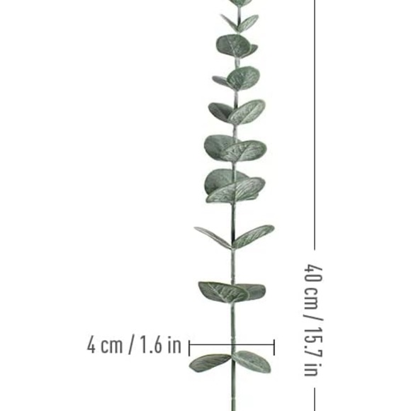 Artificial Eucalyptus Stems 🌿 - Picture 5 of 5